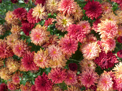 541638 (a): :1600x1200